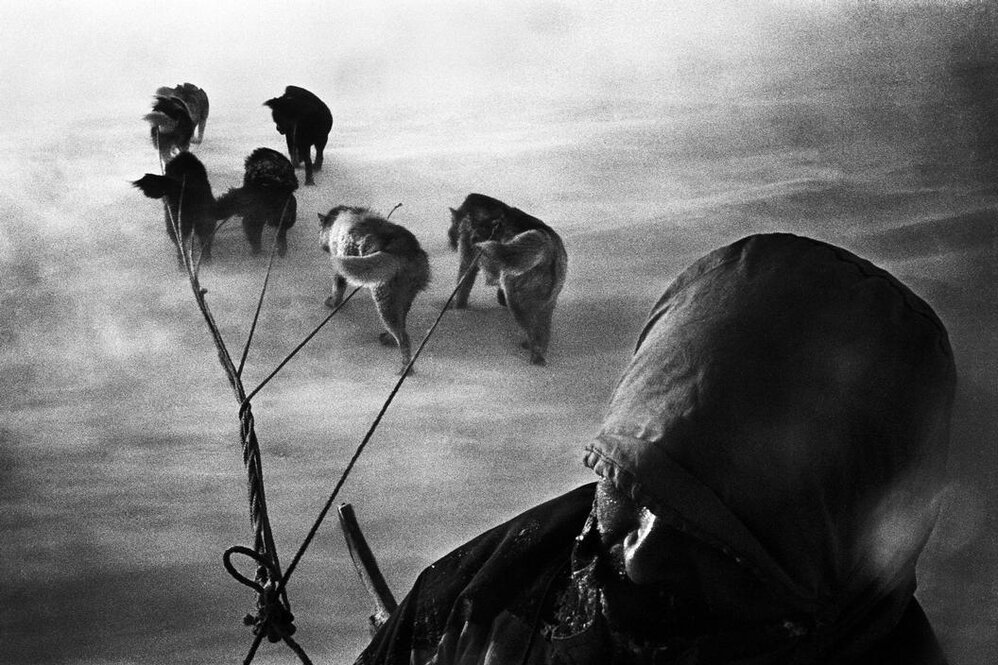 Jacob Aue Sobol: Love in the shadows | The Independent